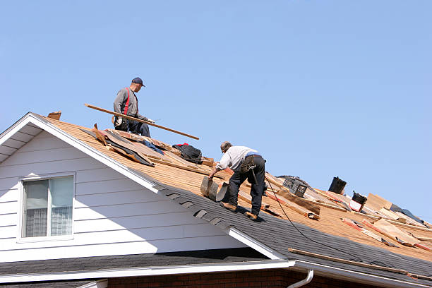 Best Roof Ventilation Installation  in One Loudoun, VA