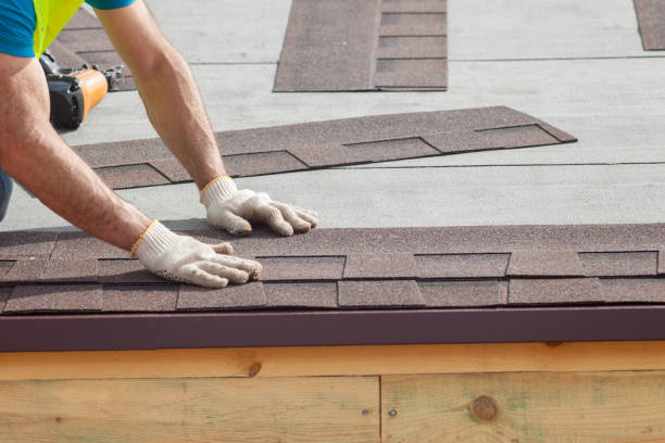 Best Solar Panel Roofing Installation  in One Loudoun, VA